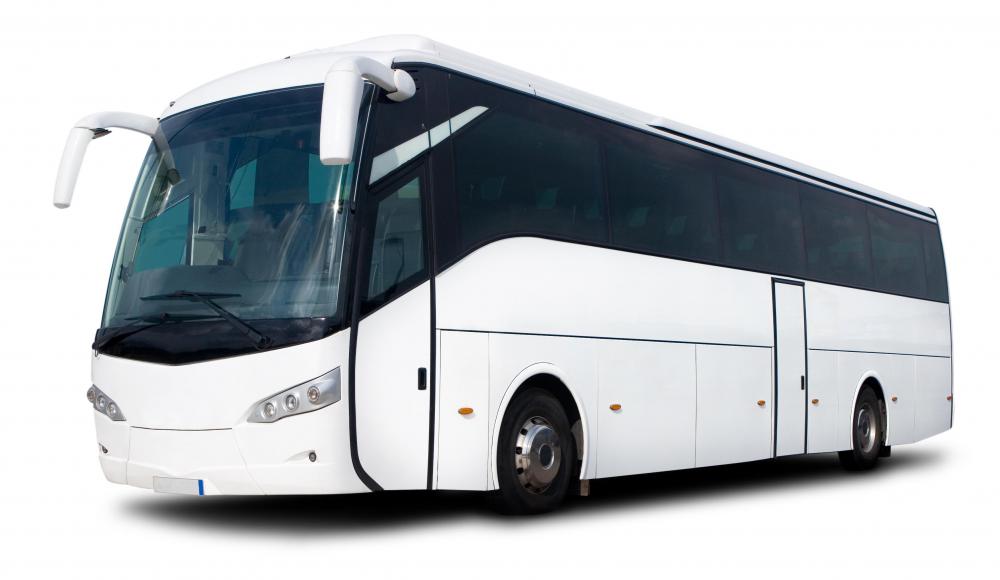 What Are the Different Types of Charter Bus Tours?