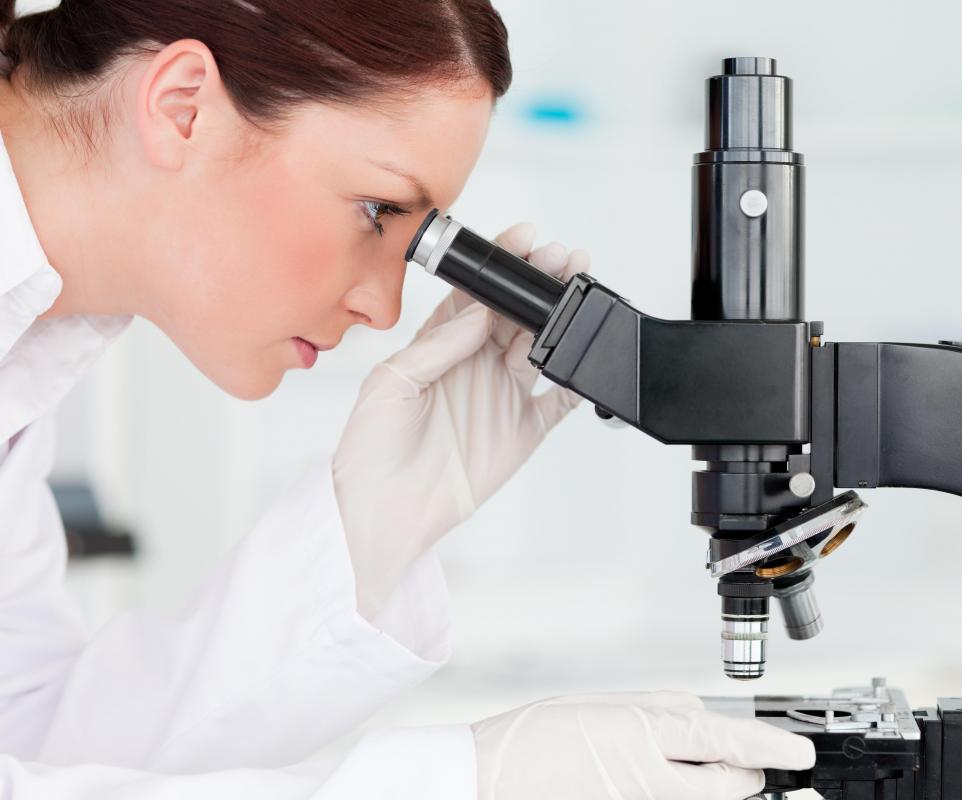 What Are The Different Types Of Histotechnician Jobs