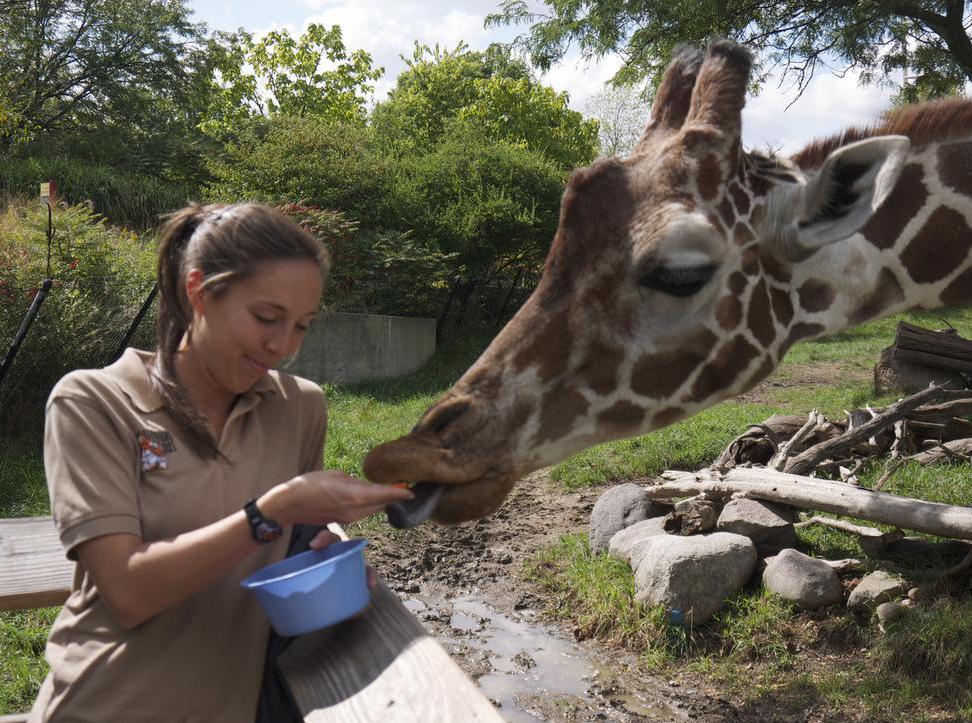 education jobs at the zoo