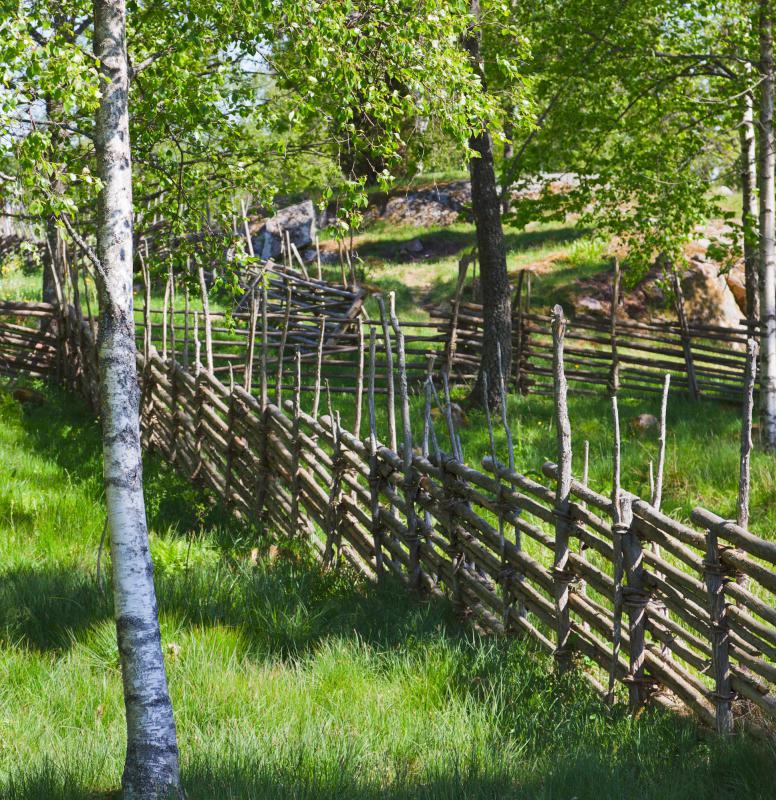 What are the Different Types of Wood Rail Fences?